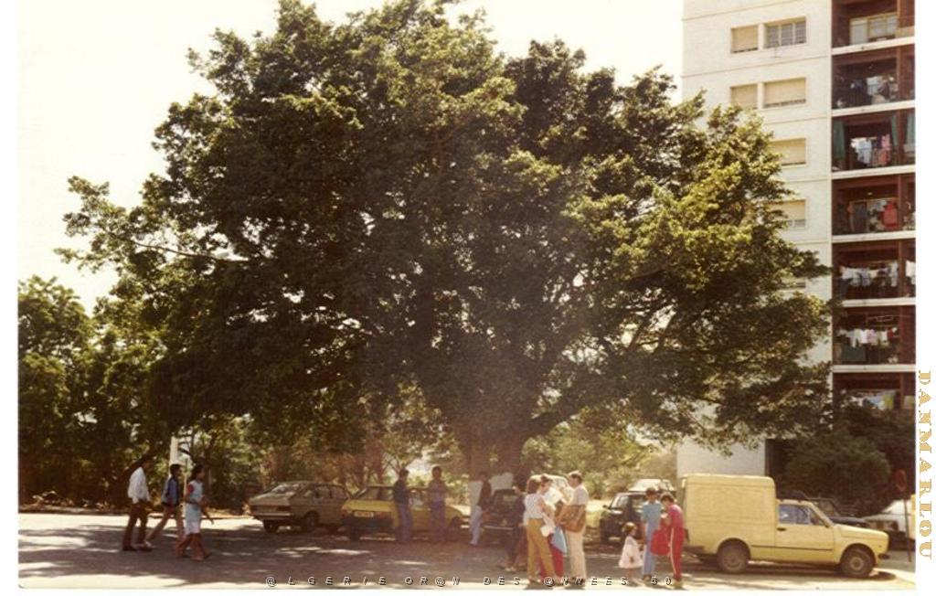 BB 012 CITE JEAN DE LA FONTAINE 1983 L ARBRE ET LA TOUR.JPG